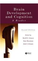 Brain Development and Cognition