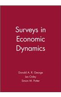Surveys in Economic Dynamics: Monographs of the Society for Research in Child Development