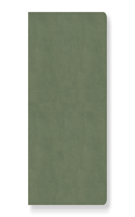 CSB Every Day with Jesus Daily Bible, Sage LeatherTouch