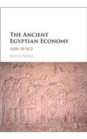 The Ancient Egyptian Economy