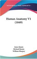 Human Anatomy V1 (1849)