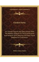 Garden Ferns: Or Colored Figures And Descriptions With The Needful Analysis Of The Fructification And Venation Of A Selection Of Exotic Ferns Adapted For Cultivat(English)