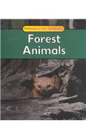 Forest Animals