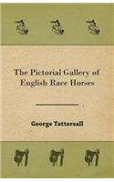 The Pictorial Gallery of English Race Horses