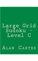 Large Grid Sudoku - Level C