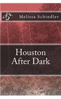 Houston After Dark
