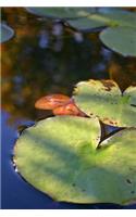 Lily Pads in a Pond Journal
