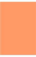 Journal Muted Tangerine Color Simple Plain Tangerine