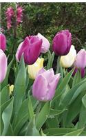 Tulips: Journal(In the Garden)