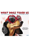 What Dogs Teach Us 2019 Box Calendar