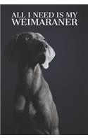 All I need is my Weimaraner: A diary for me and my dogs adventures