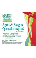 Ages & Stages Questionnaires(r) in Chinese (Asq(r)-3 Chinese): A Parent-Completed Child Monitoring System