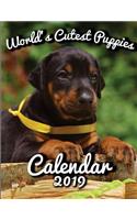 World's Cutest Puppies Calendar 2019