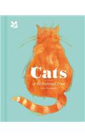Cats of the National Trust