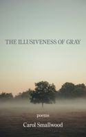 Illusiveness of Gray