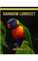 Rainbow lorikeet
