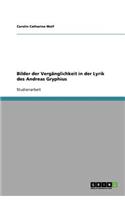 Bilder der Vergänglichkeit in der Lyrik des Andreas Gryphius