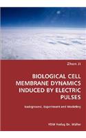 BIOLOGICAL CELL MEMBRANE DYNAMICS INDUCED BY ELECTRIC PULSES- Background, Experiment and Modeling