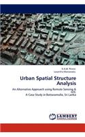 Urban Spatial Structure Analysis