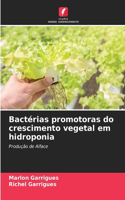 Bactérias promotoras do crescimento vegetal em hidroponia