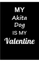 My Akita Dog Is My Valentine