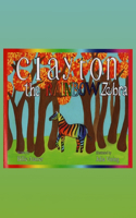 Clayton The Rainbow Zebra