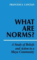 What Are Norms?