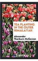 Tea Planting in the Outer Himalayah