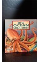Big Ocean Creatures: (v. 4 First Discovery Series)