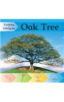 Oak Tree