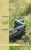Along a Snake Fence Riding