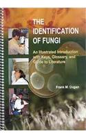 The Identification of Fungi