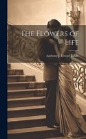 Flowers of Life