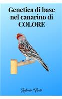 Genetica di base nel canarino di colore