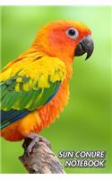 Sun Conure Notebook: Sun Parakeet - Aratinga solstitialis - Composition Book 150 pages 6 x 9 in. - College Ruled - Writing Notebook - Lined Paper - Soft Cover - Plain Jo