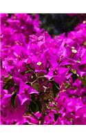 Bougainvillea Gardening Journal