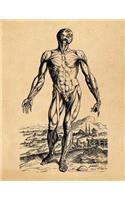 Anatomy Notebook