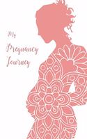 My Pregnancy Journey