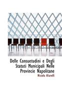 Delle Consuetudini e Degli Statuti Municipali Nelle Provincie Napolitane