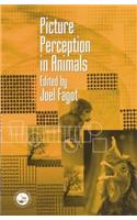 Picture Perception in Animals