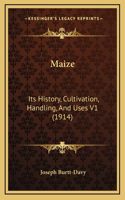 Maize