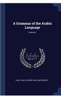 Grammar of the Arabic Language; Volume 1