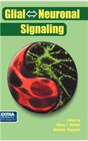 Glial ⇔ Neuronal Signaling