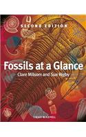 Fossils at a Glance