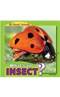 What's an Insect?