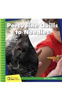 Porcupine Quills to Needles