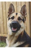 German Shepherd Looking Cool Journal: 150 page lined notebook/diary