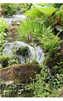 Lush Green Plants Along a Stream Nature Journal: 150 Page Lined Notebook/Diary