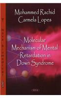 Molecular Mechanism of Mental Retardation in Down Syndrome