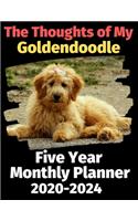 The Thoughts of My Goldendoodle